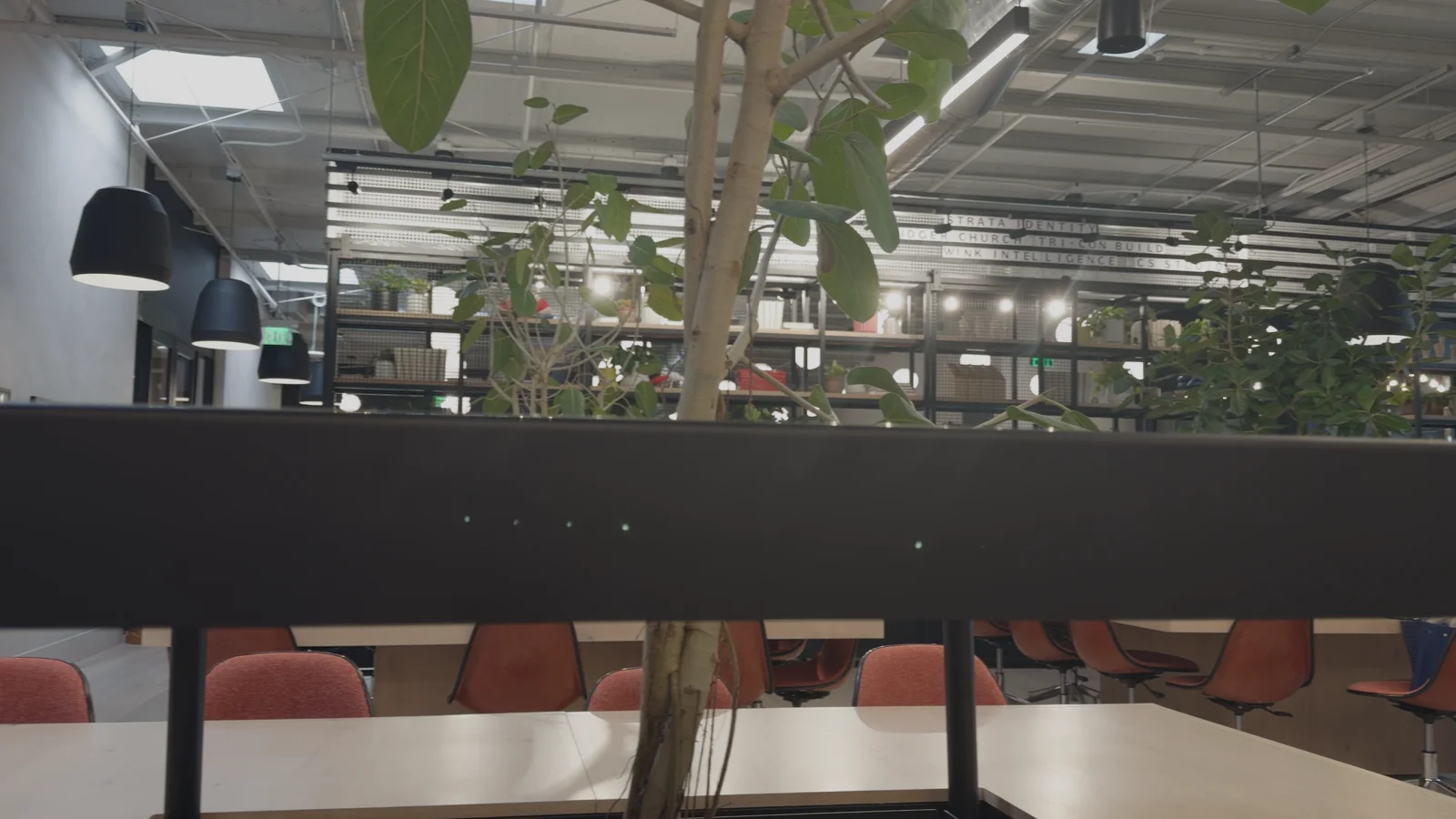 Airy on an office recorded in Apple Log: neutral conversion