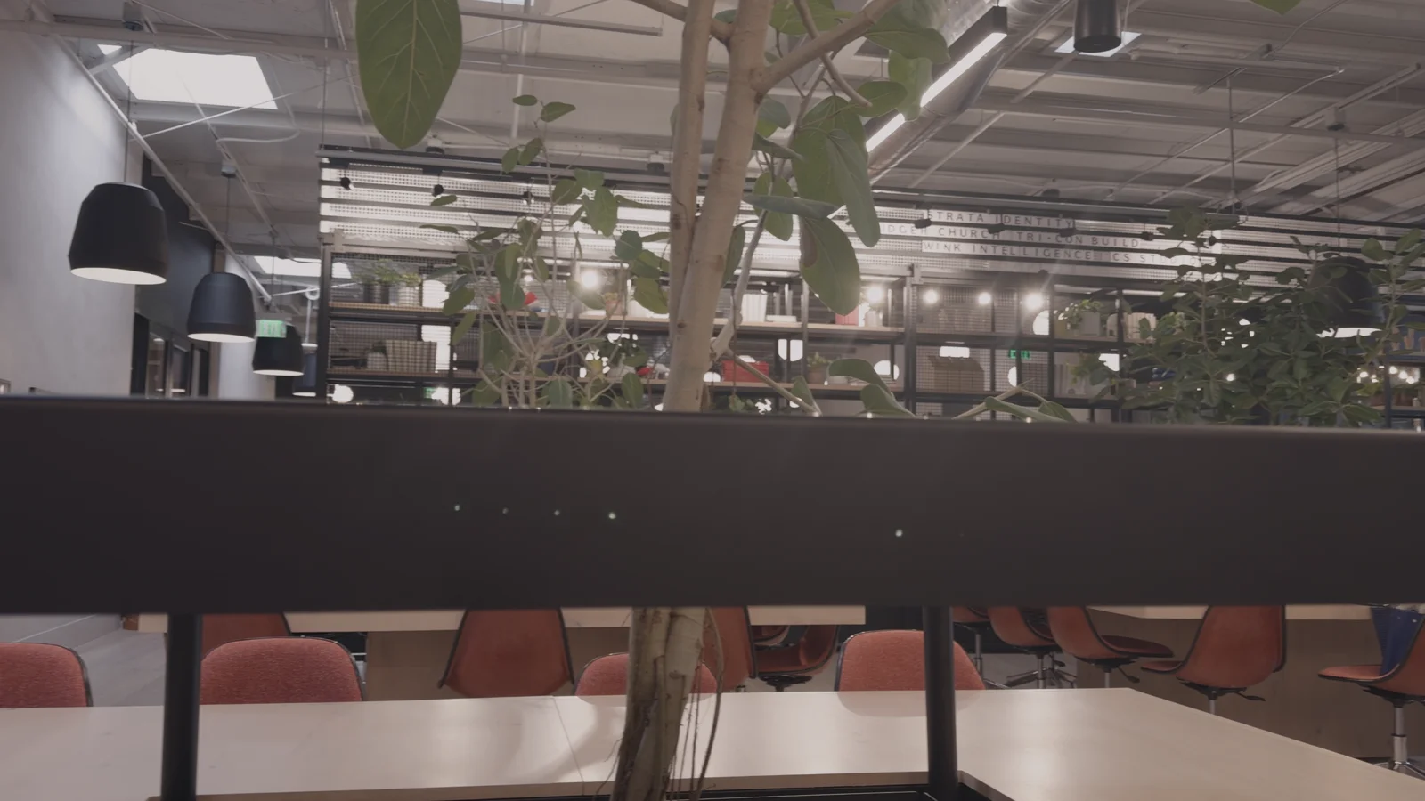 Rose on an office recorded in Apple Log